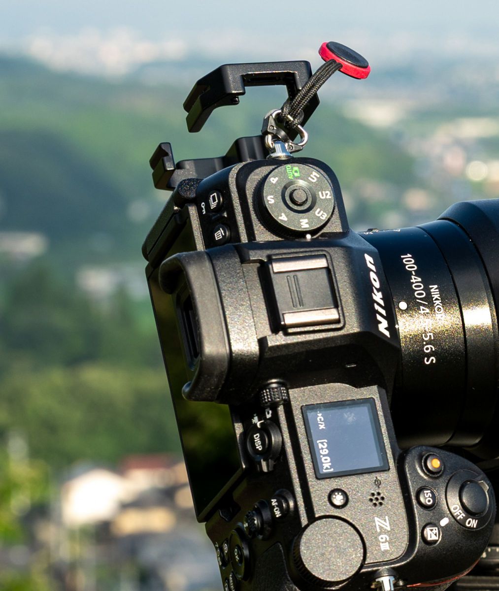 注目製品レビュー ニコン Z5II & Z6III No.19 あなたはバリアングル派
