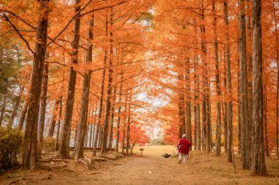 お母さんは元気ですよ！