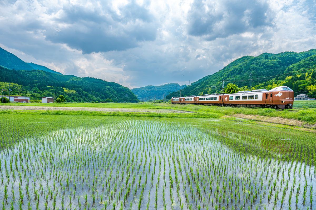 注目製品レビュー ニコン Z5II & Z6III No.4 ガチ鉄の世界へ助川康史