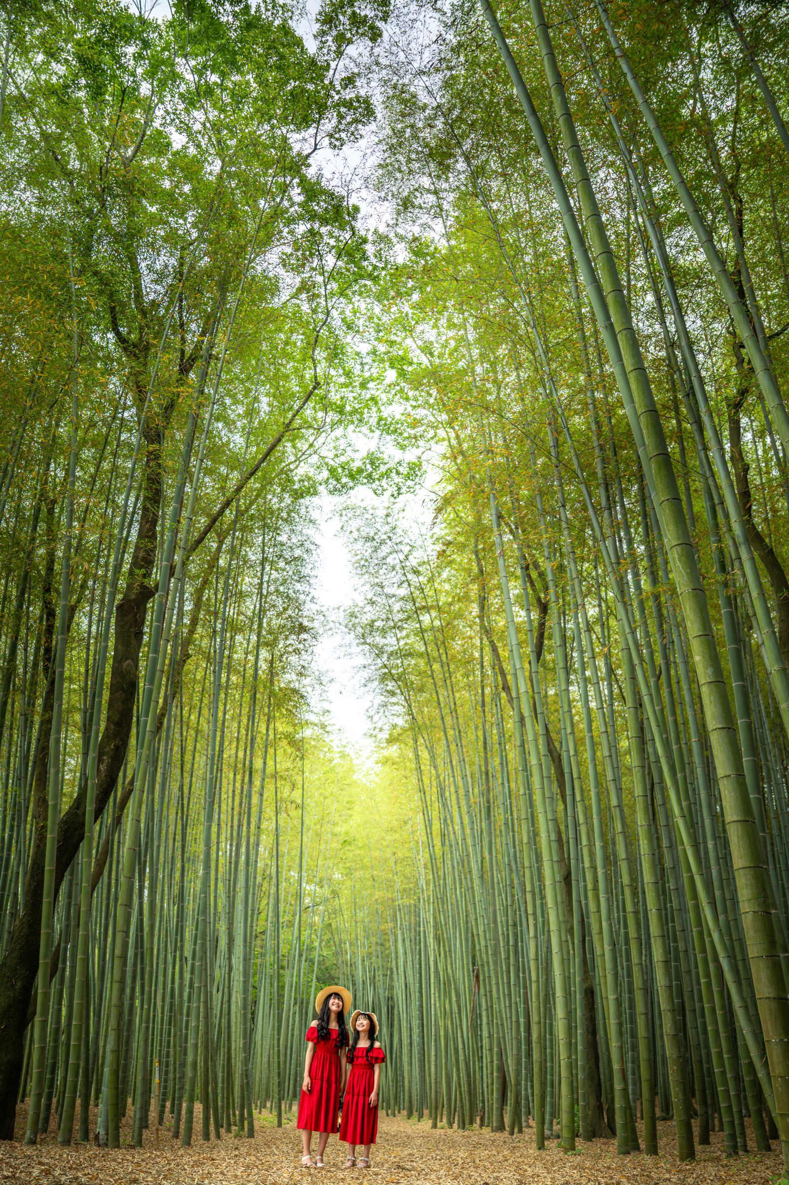 かぐや姫の散歩道 | GANREF