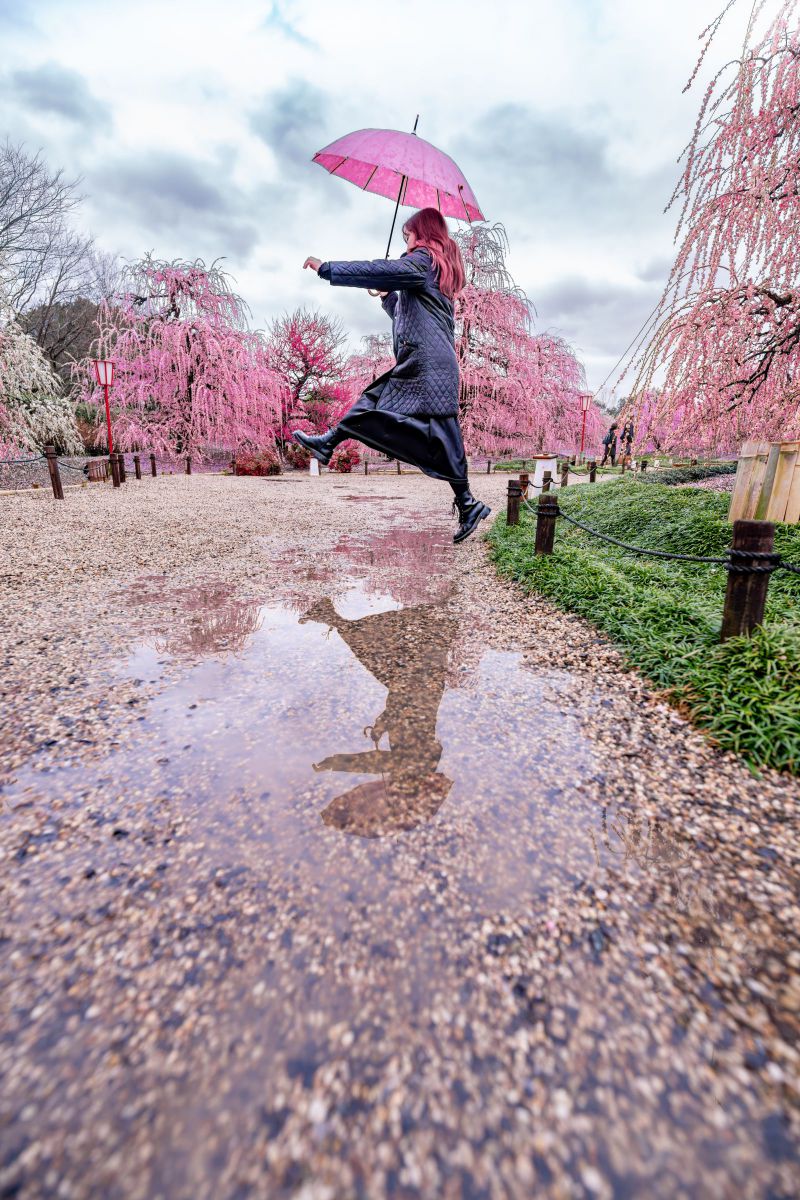 鈴鹿の森庭園で梅が絶頂満開！クロスフィルターがおすすめの理由 | GANREF
