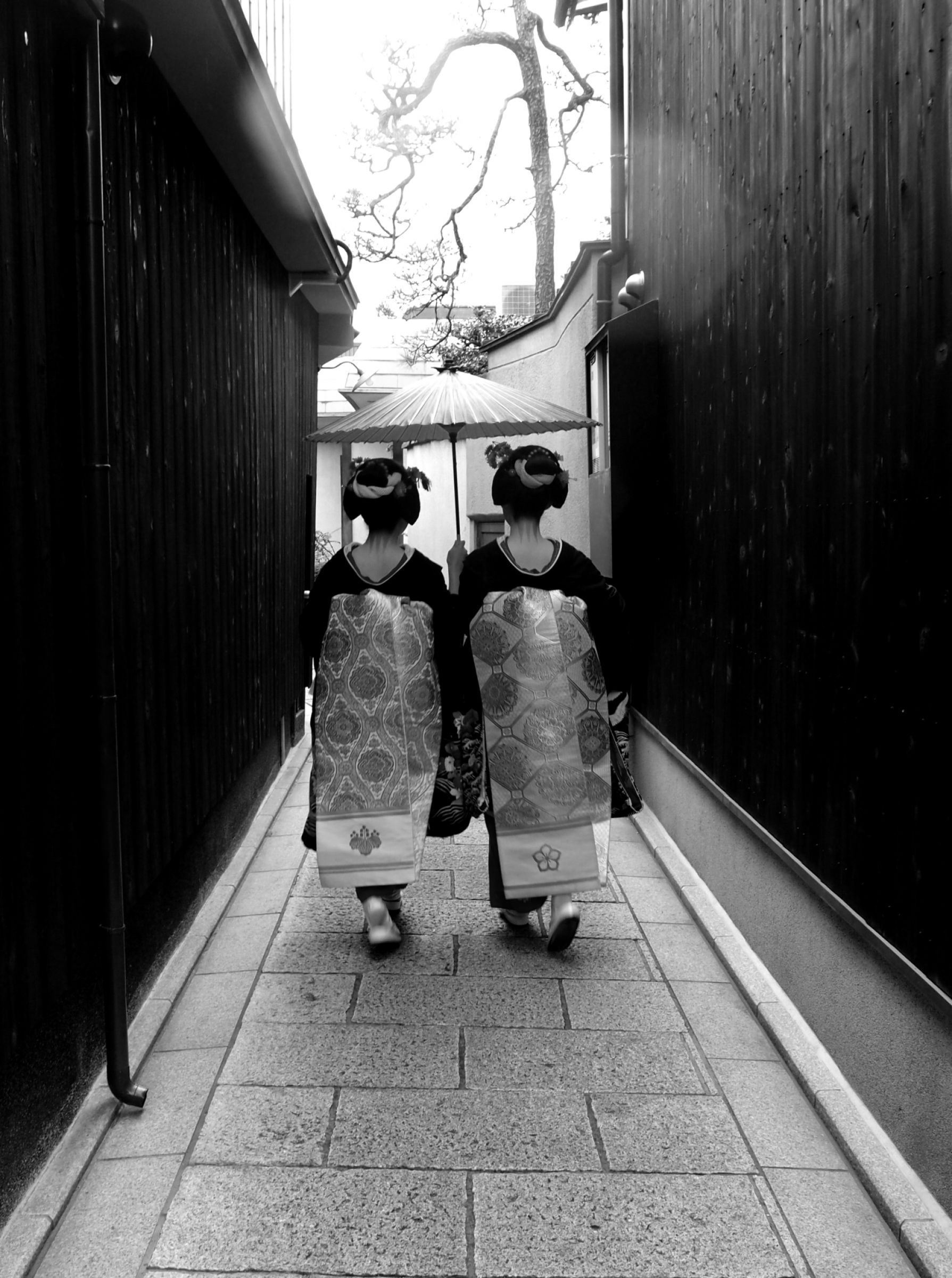 京都 ～舞妓物語～ | GANREF