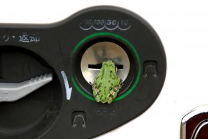 シリアスなドラマ ２ 自然 風景 その他 Ganref