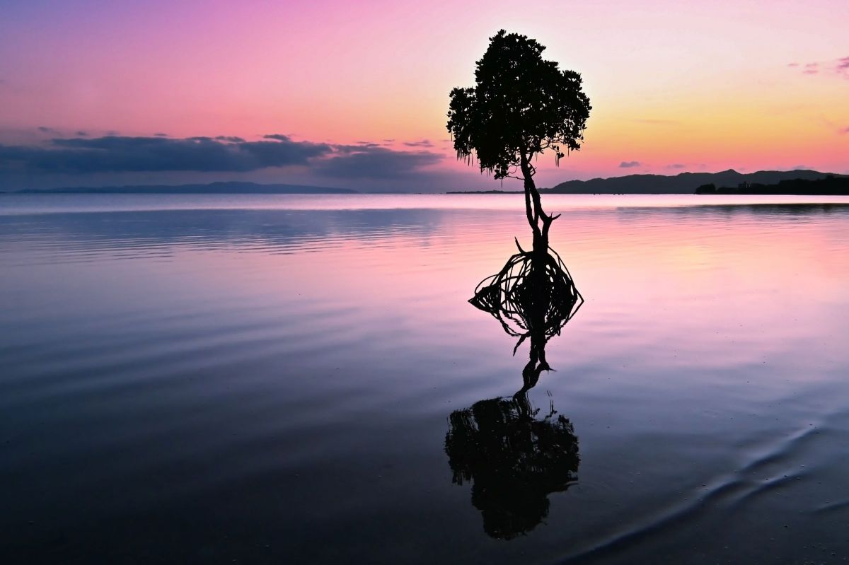 NIKKOR Z DX 18-140mm f/3.5-6.3 VRで撮影された写真 | 写真検索 | GANREF