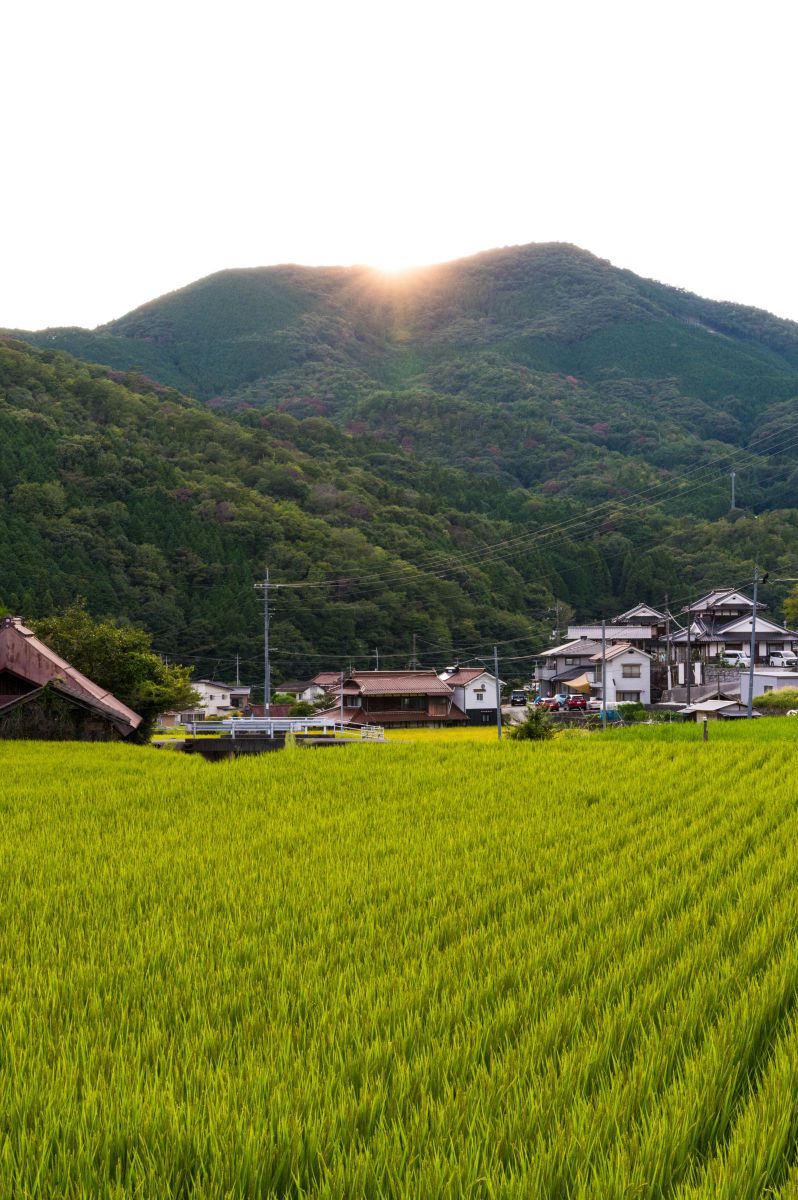 田舎 | GANREF