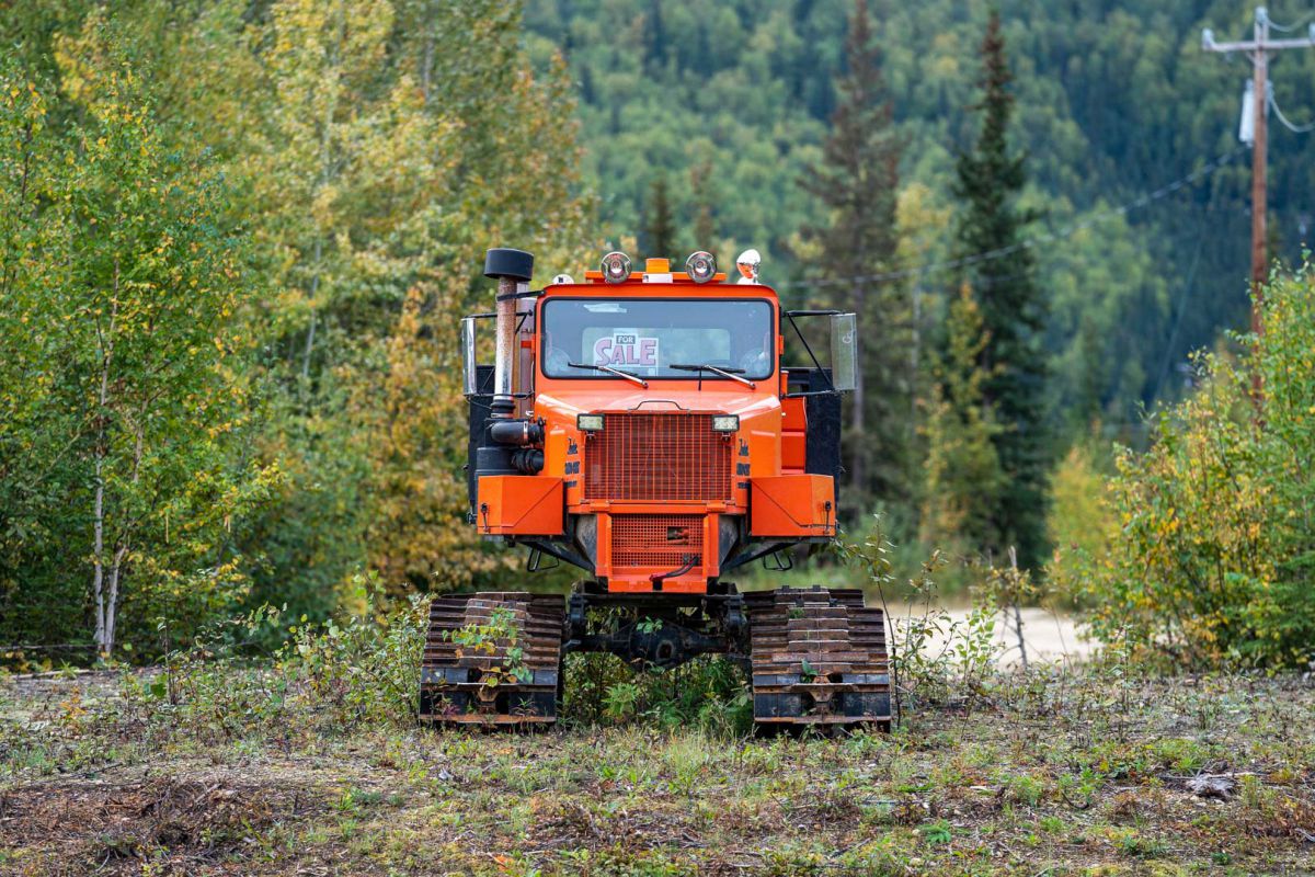 1 10パンドラ ベレットボディ草ヒロ 低廉