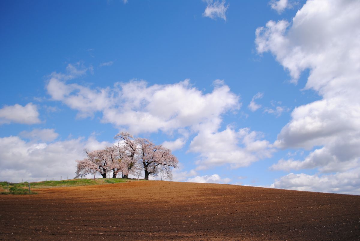 春の大地 自然 風景 大地 Ganref