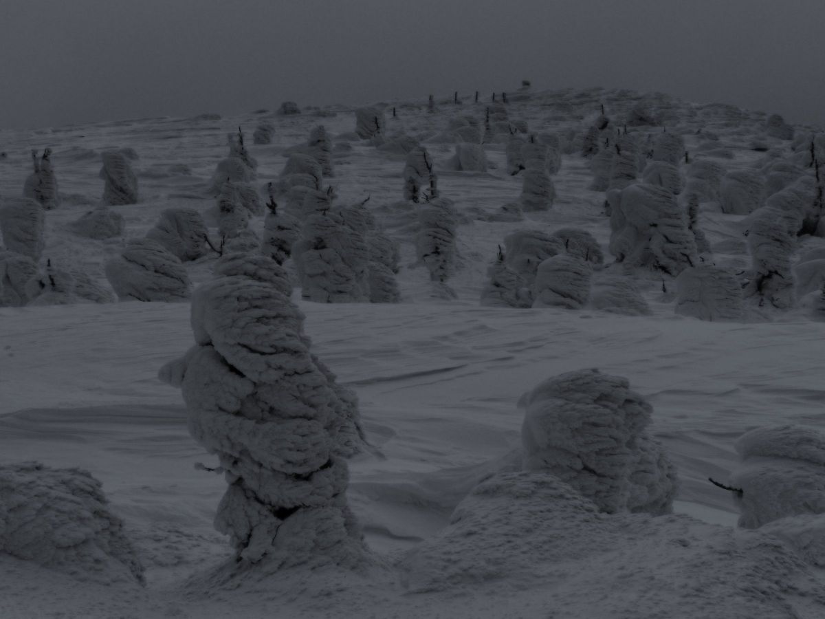 雪景色の仕上げについて | GANREF