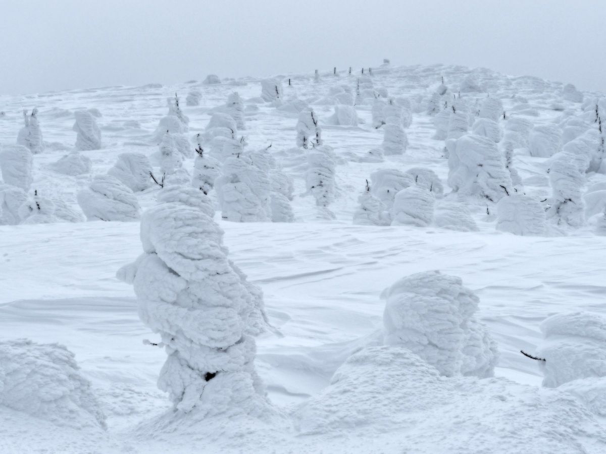雪景色の仕上げについて | GANREF