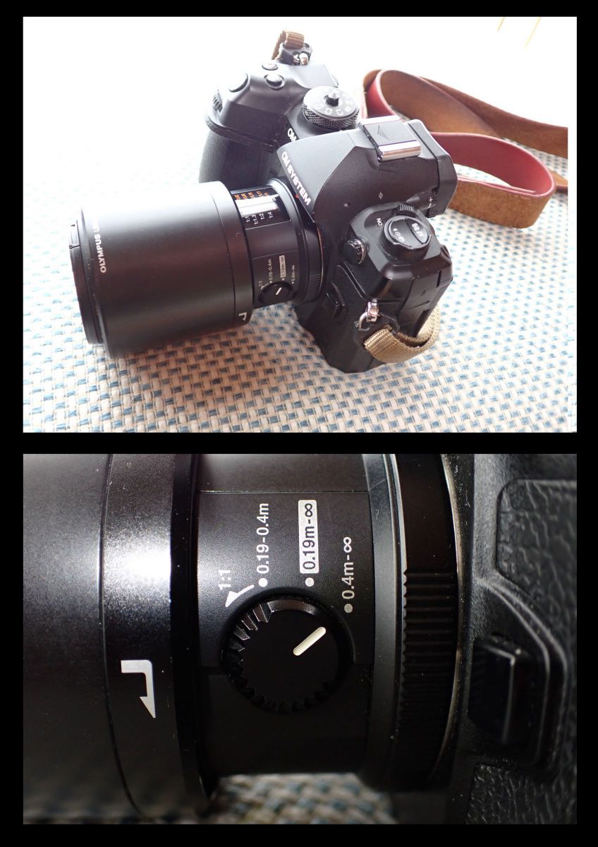 M.ZUIKO DIGITAL ED 60mm F2.8 Macro で遠景を撮る | GANREF