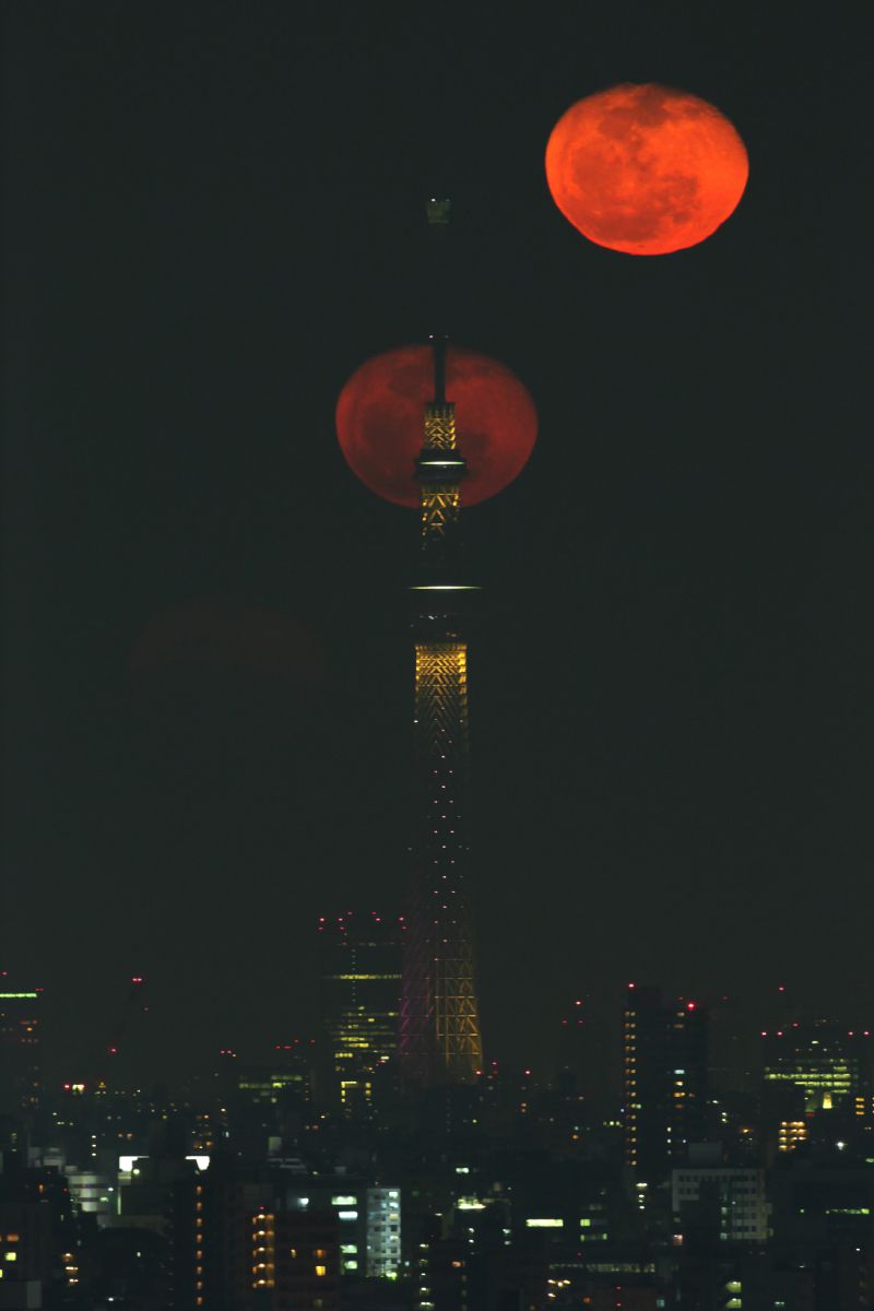 昇る寝待月 自然 風景 宇宙 天体 Ganref