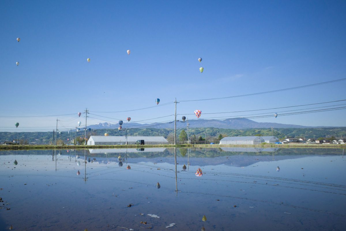 Balloon reflection | GANREF