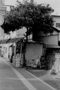 ふれふれ坊主 街並み 建物 店舗 Ganref