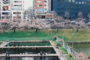 ふれふれ坊主 街並み 建物 店舗 Ganref