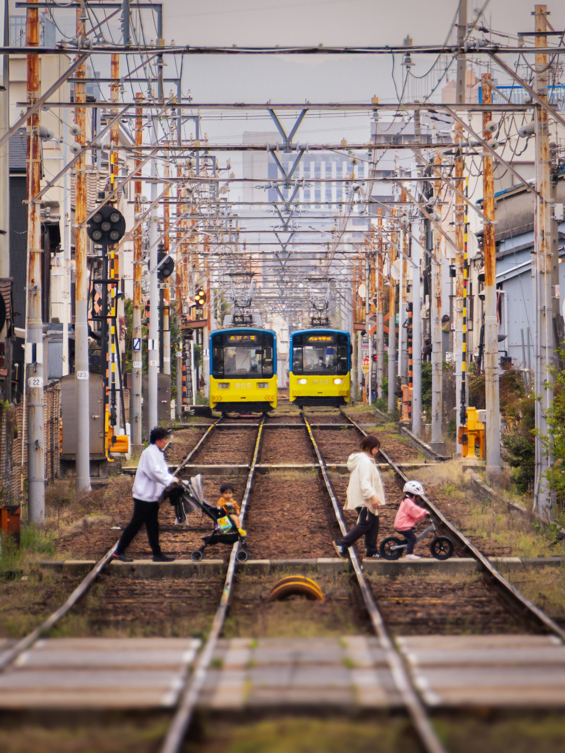 路面電車のある風景 | GANREF