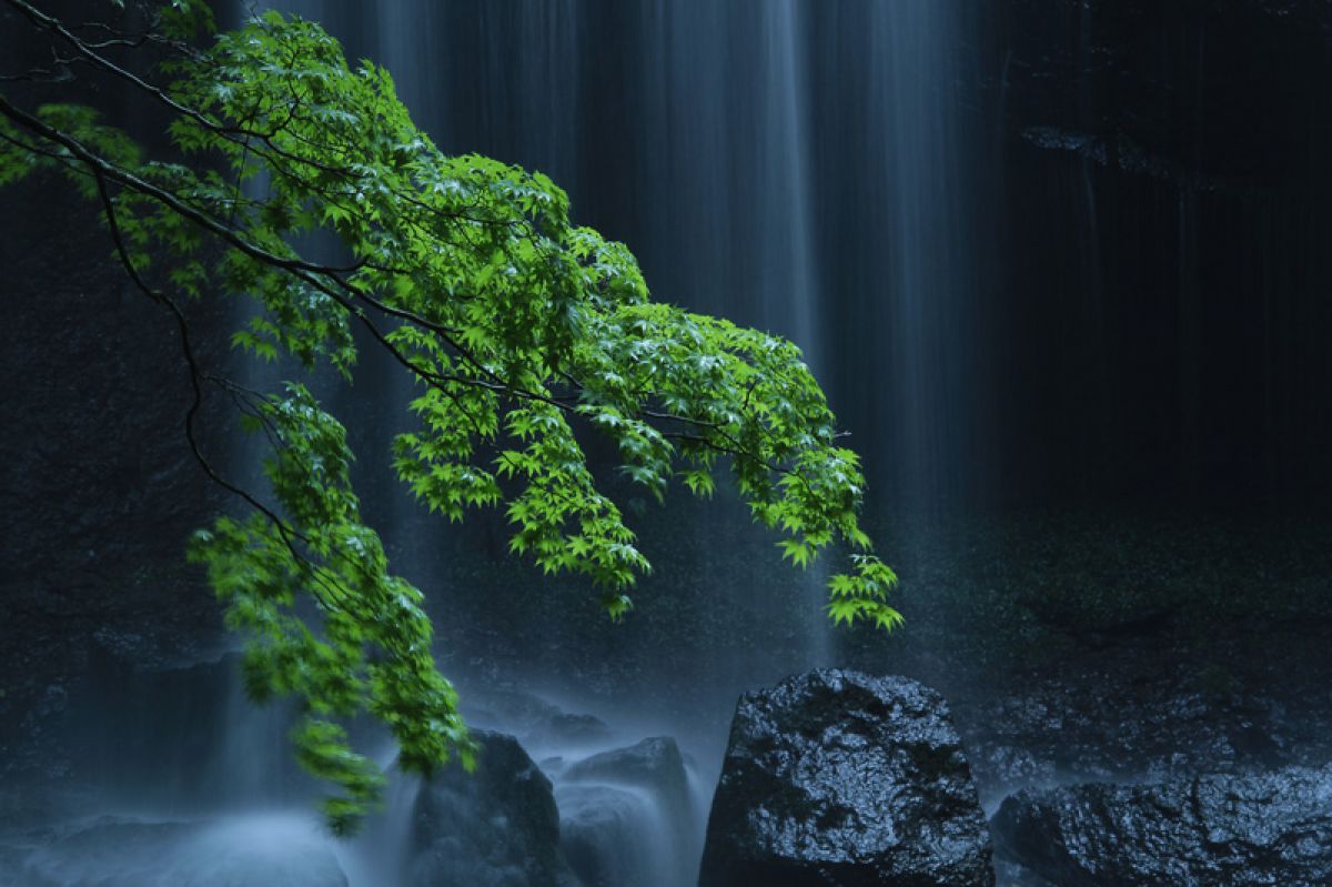 達沢不動滝 自然 風景 滝 Ganref