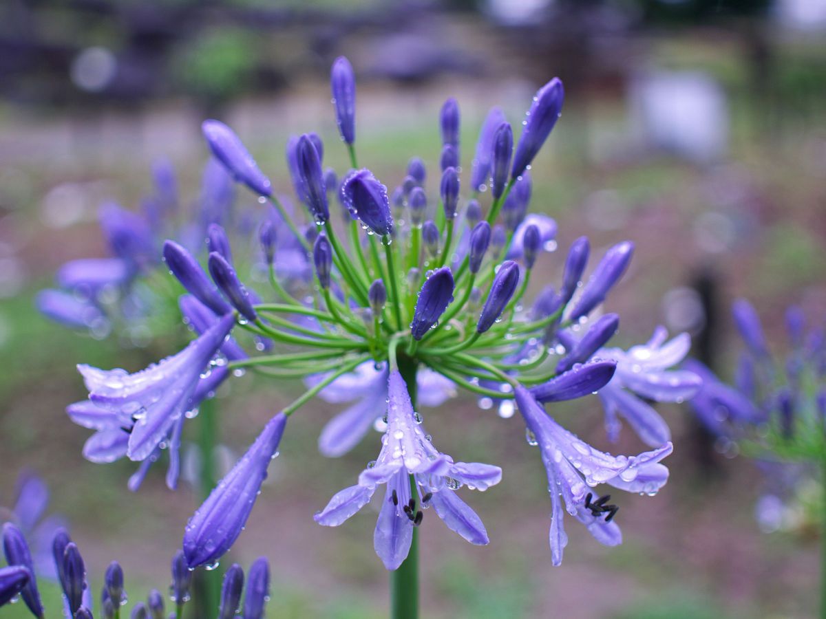SIGMA 30mm F2.8 EX DNで撮影された写真 | 写真検索 | GANREF