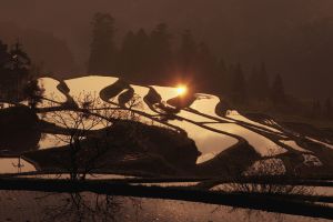 琵琶湖寸景・テトラポット | GANREF