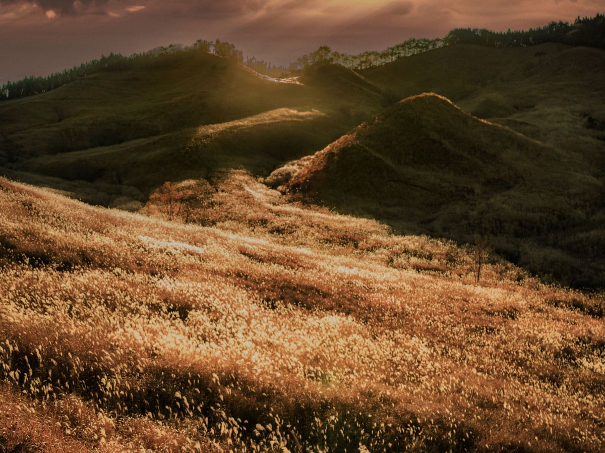 XCD 4/45Pで撮影された写真 | 写真検索 | GANREF