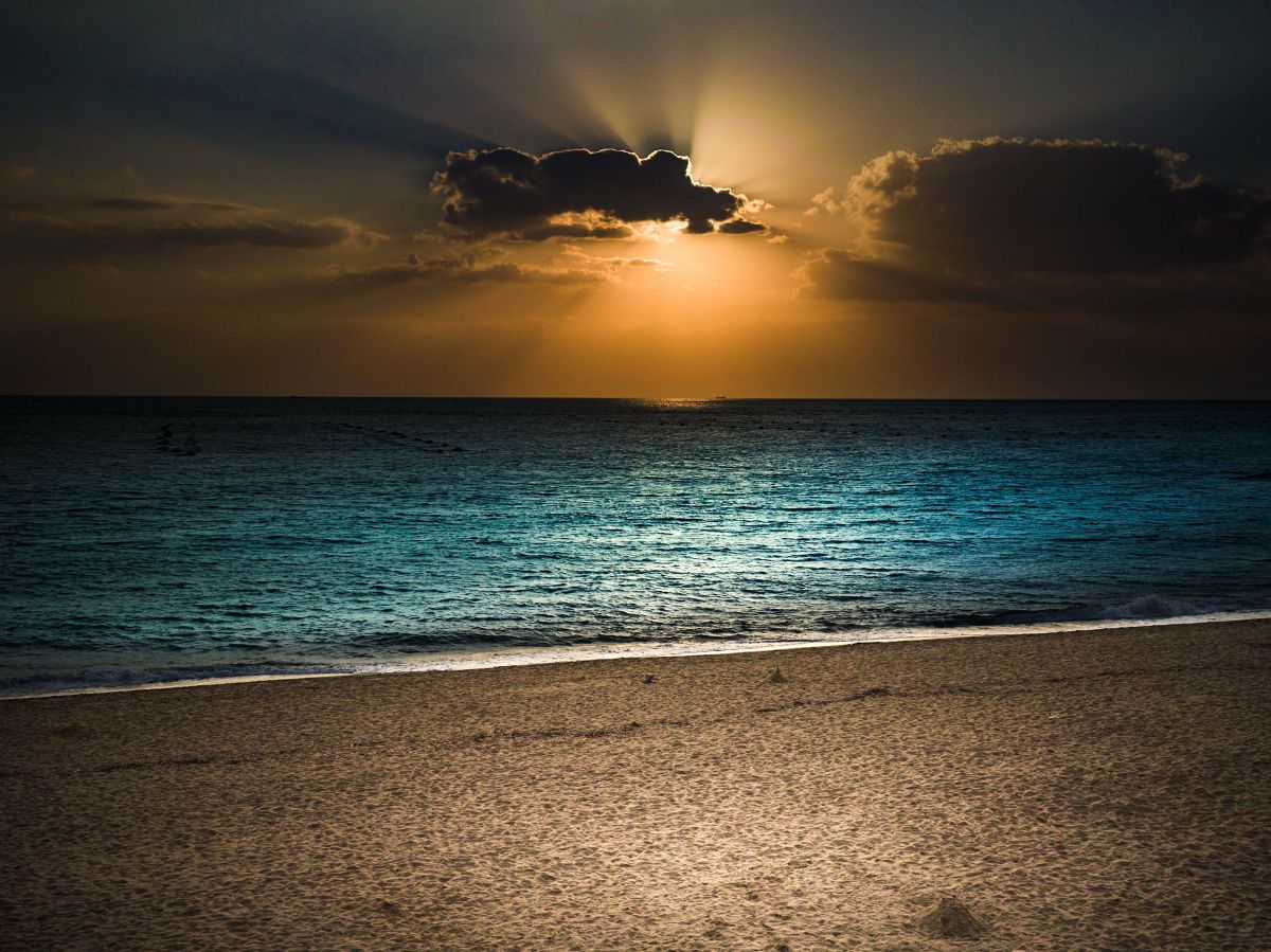 XCD 4/45Pで撮影された写真 | 写真検索 | GANREF