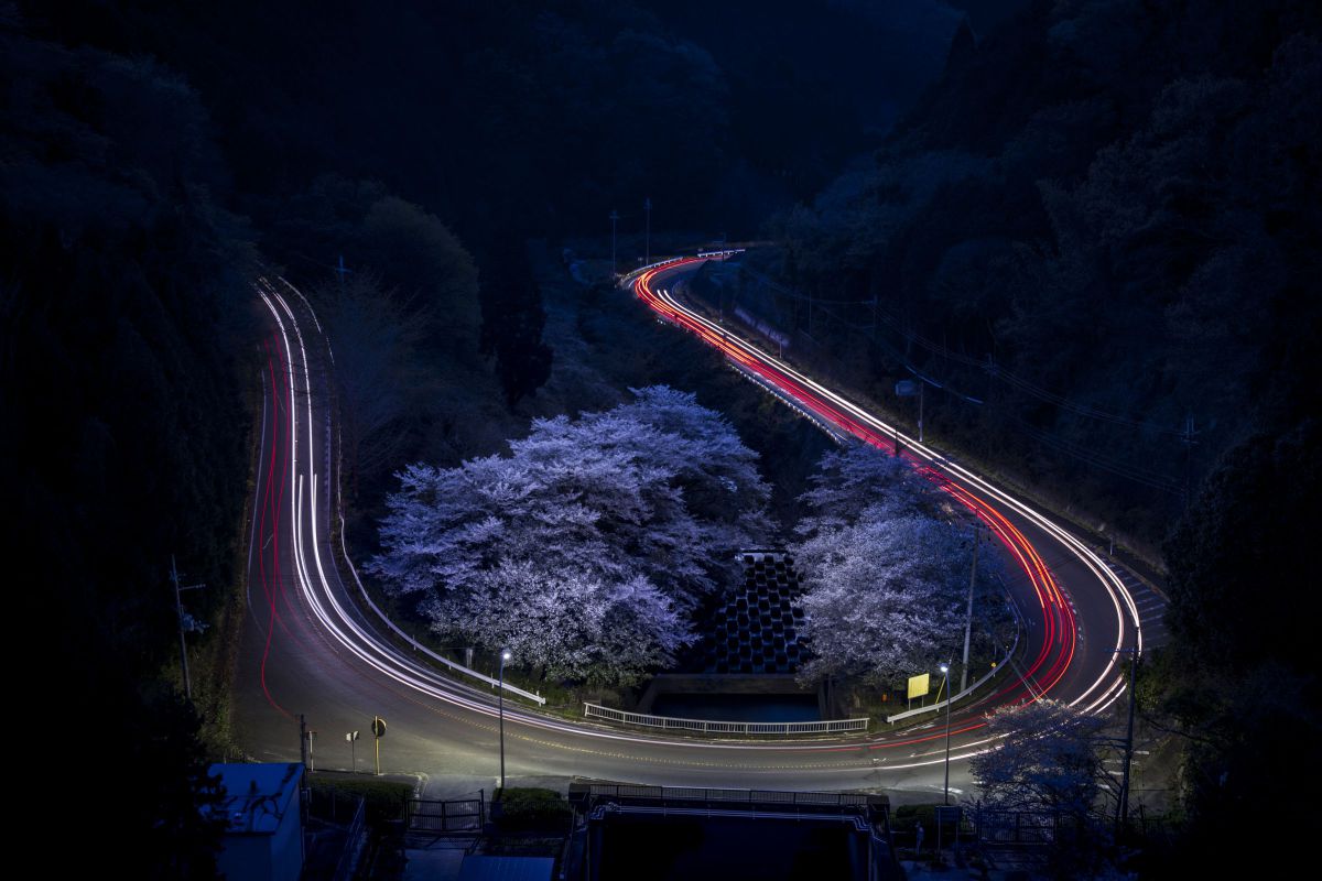 SIGMA 24-105mm F4 DG OS HSM | Artで撮影された写真 | 写真検索 | GANREF