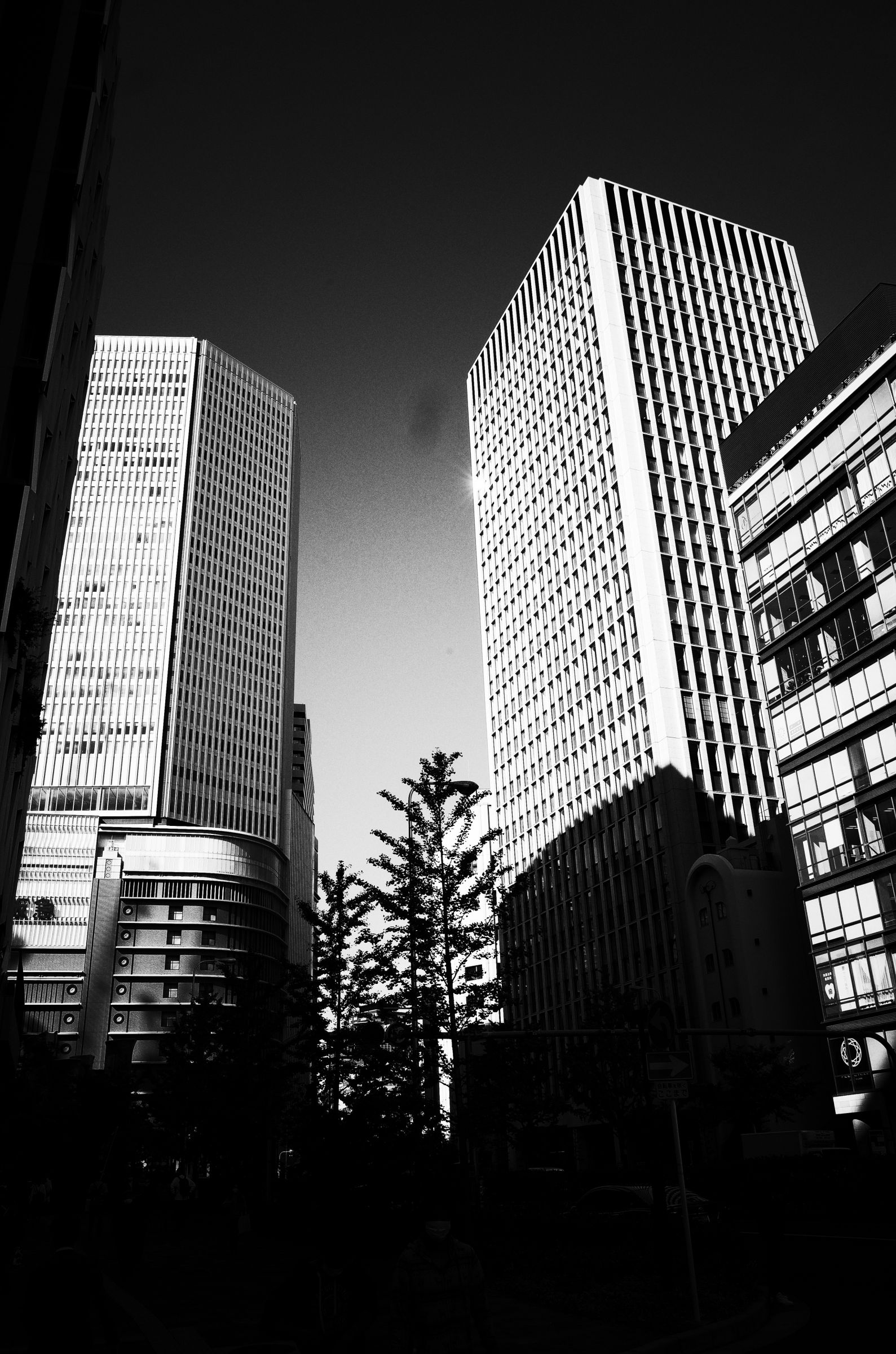 露出計なんかいらない | GANREF