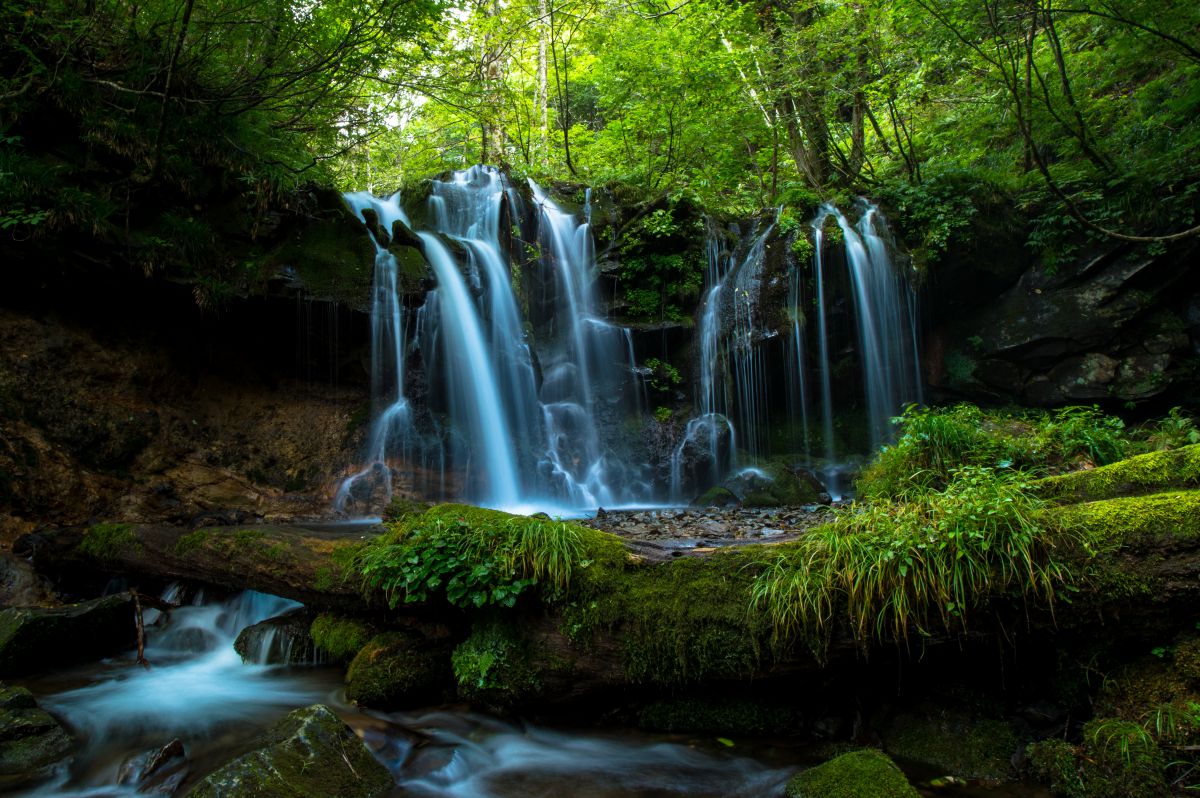 猿壺の滝 自然 風景 滝 Ganref