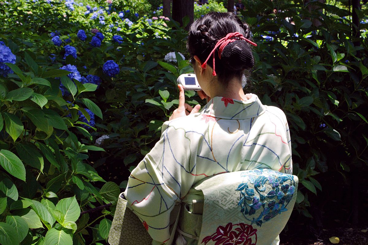 アジサイ寺の京美人 人物 女性 Ganref