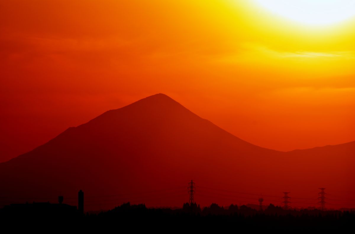 APO TELE MACRO 400mm F5.6 HSMで撮影された写真 | 写真検索 | GANREF