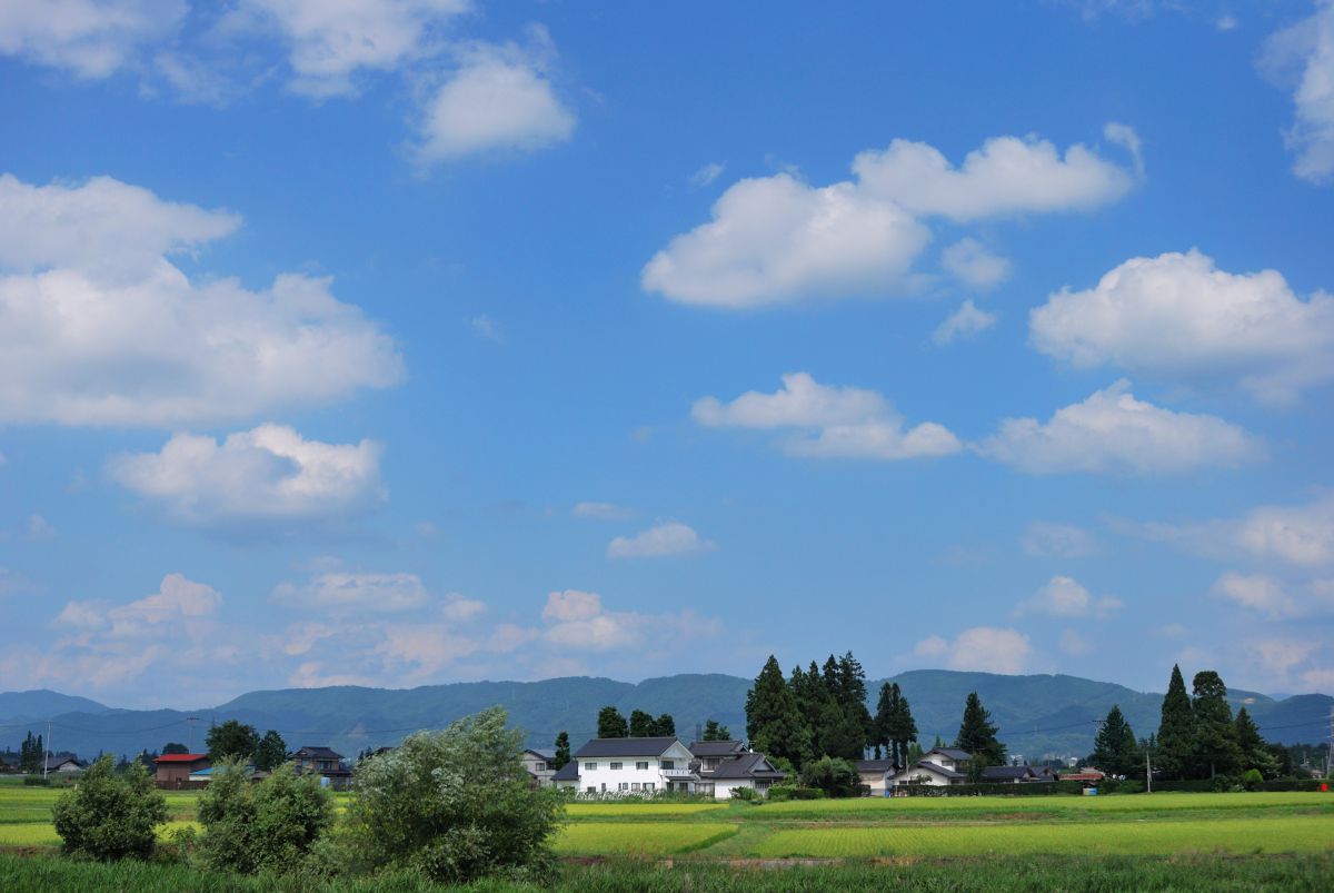 雲