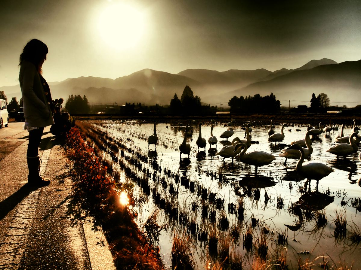 ZUIKO DIGITAL ED 14-35mm F2.0 SWDで撮影された写真 | 写真検索 | GANREF