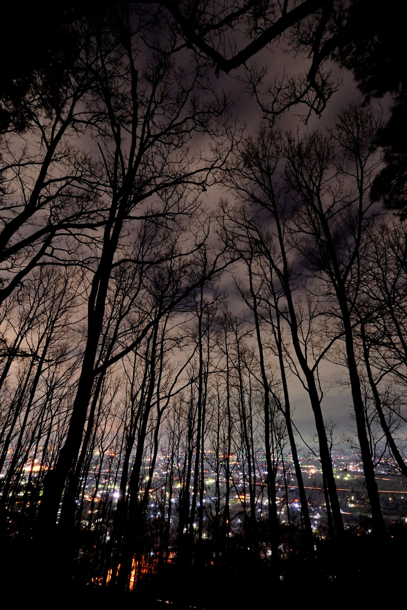 【F0号】夜の考え事 不気味な夜 | GANREF