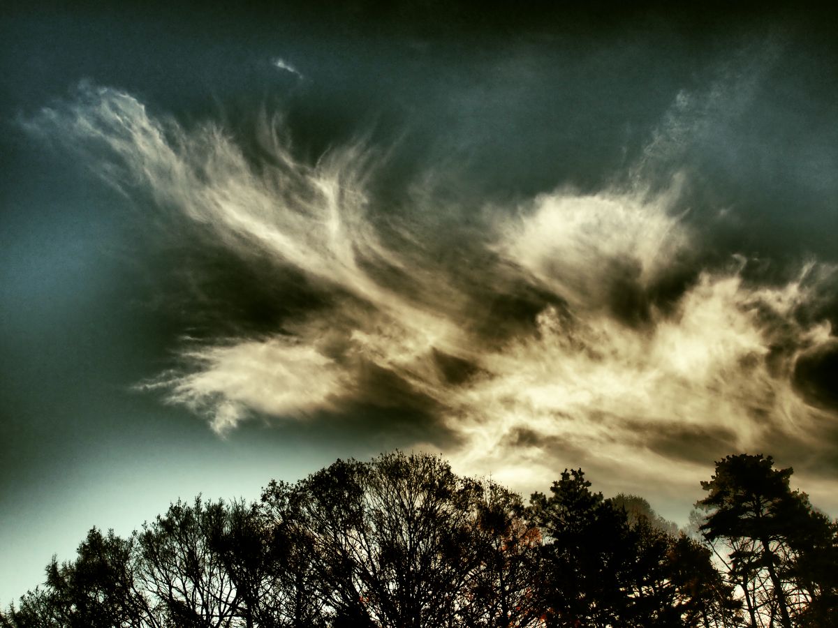 龍の顔 自然 風景 空 雲 Ganref
