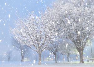 ガントナー　リトグラフ　雪の朝 ガントナー リトグラフ 雪の朝 - メルカリ