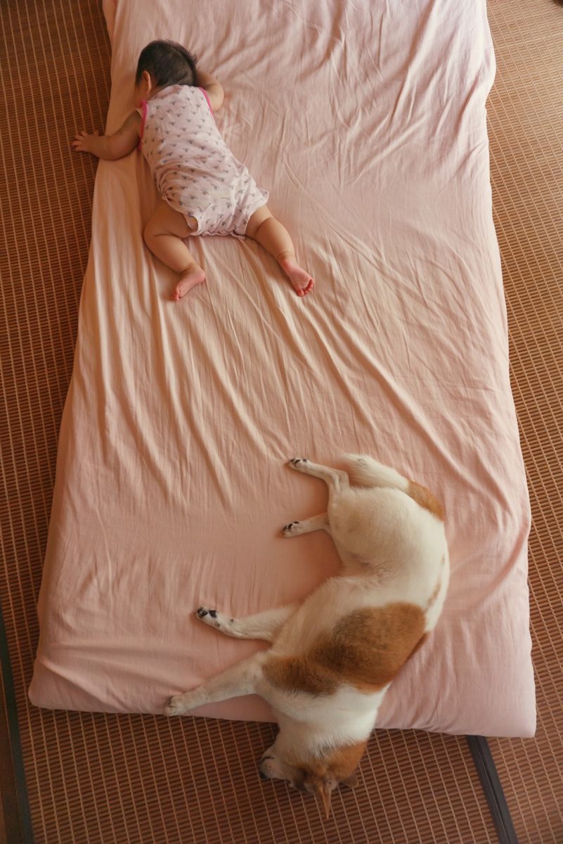 布団の上で 夢の国 人物 赤ちゃん Ganref