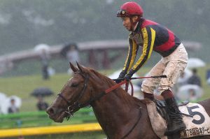 【期限切れ単複馬券】　第78回　日本ダービー　オルフェーブル　ウマ娘 Yahoo!オークション - JRA 競馬ミニゼッケン 額縁付き 第78回