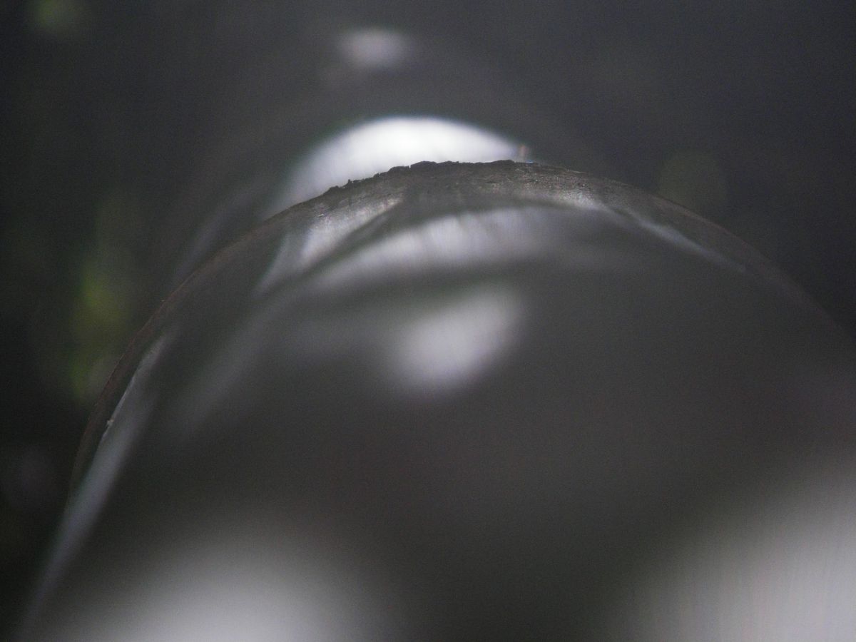 PENTAX Optio WS80で撮影された写真 | 写真検索 | GANREF PENTAX Optio WS80で撮影された写真 | 写真検索 | GANREF