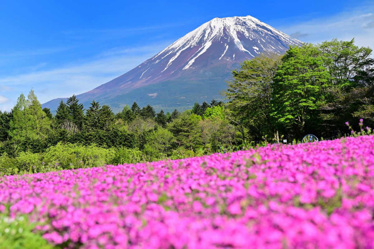 NIKKOR Z 70-200mm f/2.8 VR Sで撮影された写真 | 写真検索 | GANREF