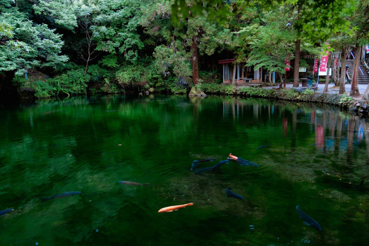 出流原弁天池湧水 GANREF