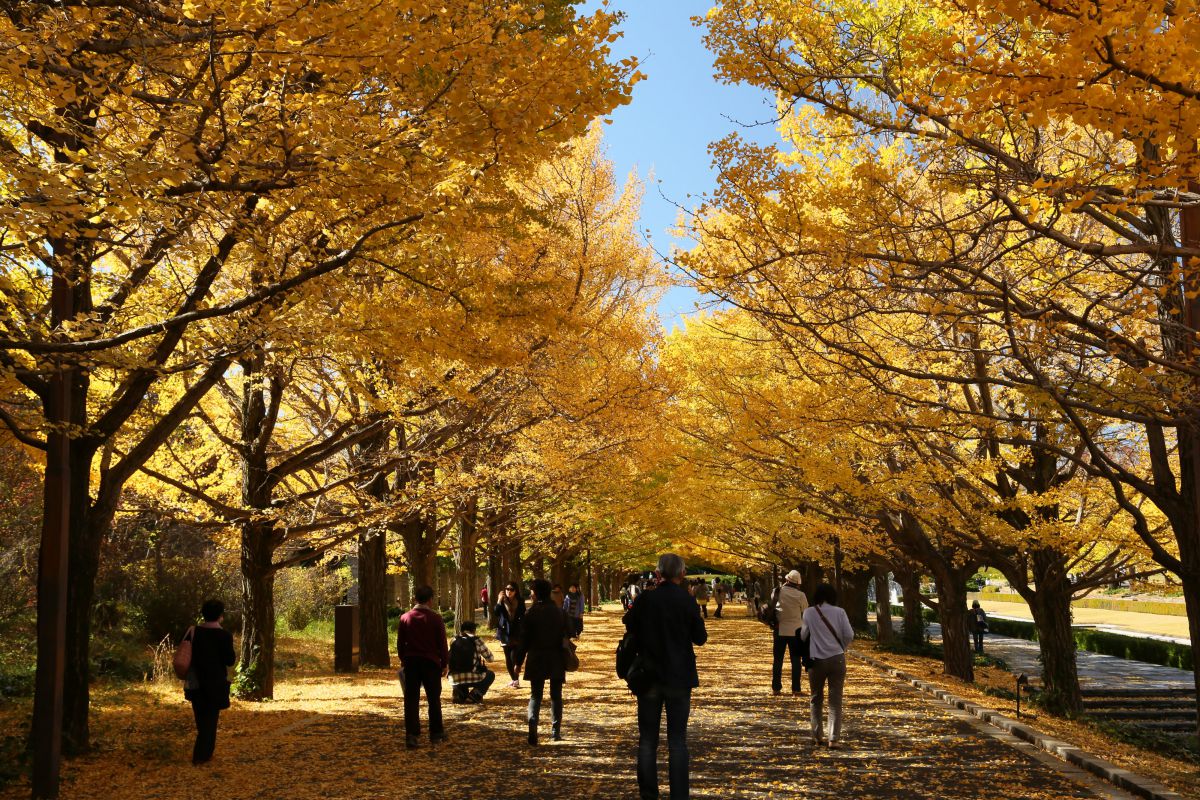 立ち尽くす時間 ライフ レジャー Ganref