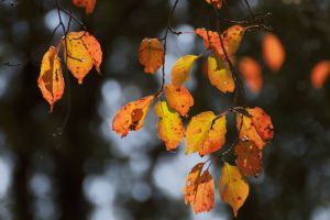 add429bfad5c6c2ddcb9edce3bc110