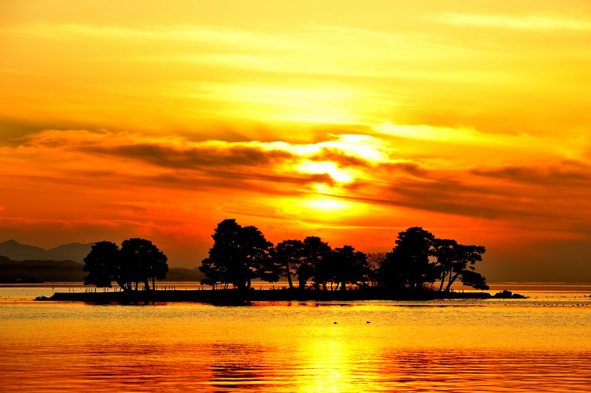 Ai AF-S Zoom Nikkor ED 80-200mm F2.8D（IF）で撮影された写真 | 写真