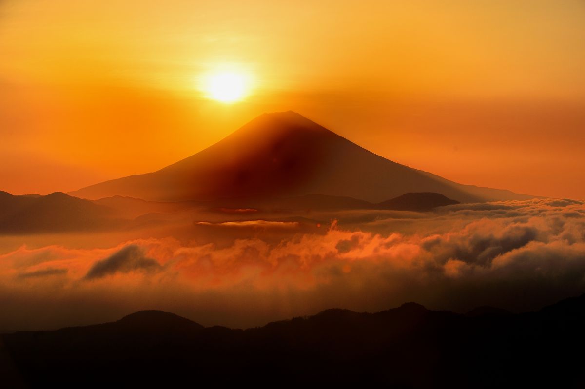 Ai AF-S Zoom Nikkor ED 80-200mm F2.8D（IF）で撮影された写真 | 写真