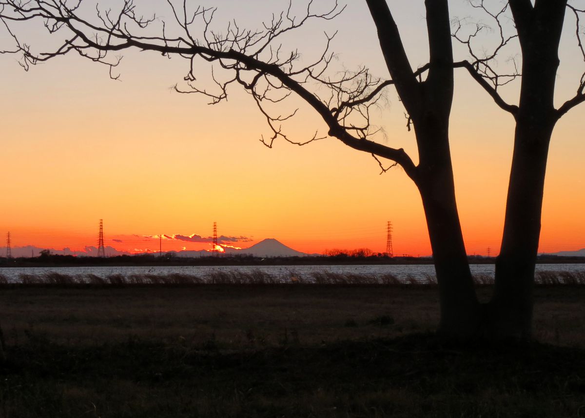 牛久沼の黒富士 自然 風景 山 Ganref