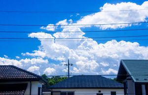 No.3【紀美野の水田里風景】 水田風景 | GANREF