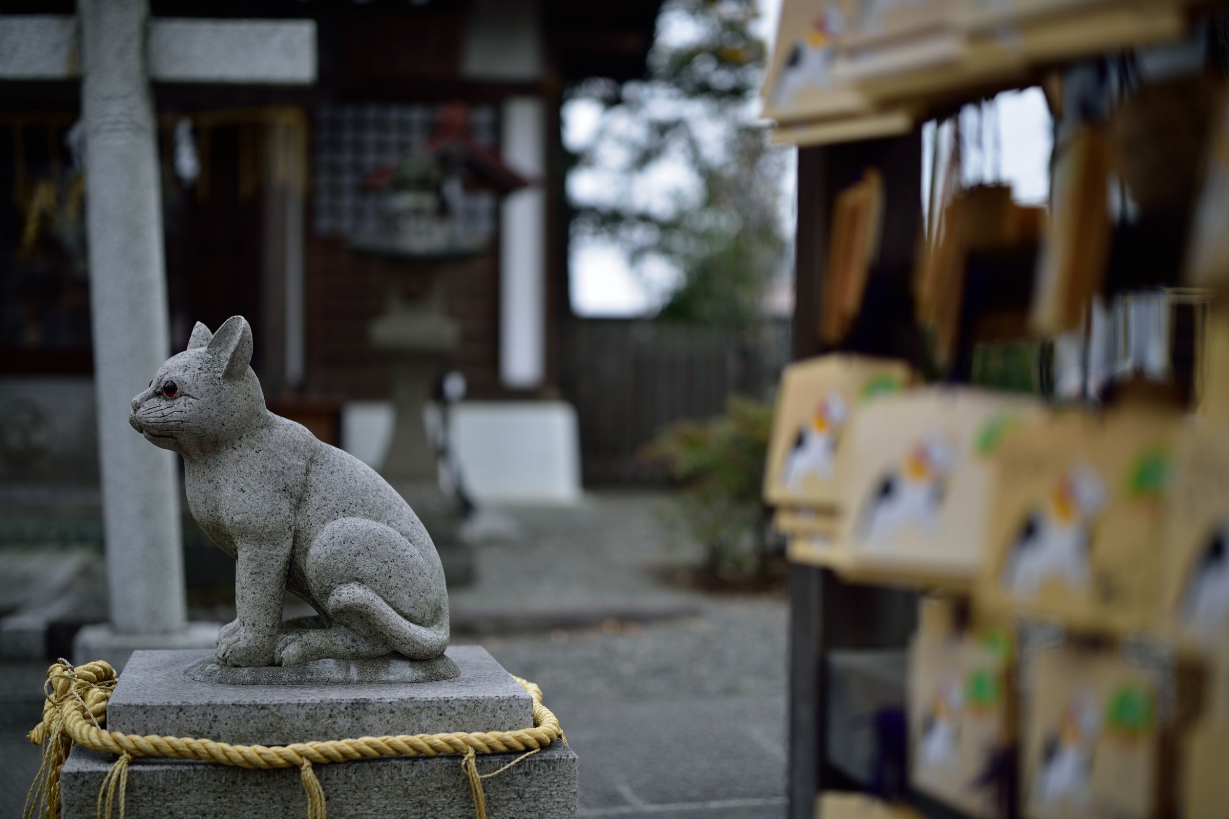 明治時代　神秘的な瞳や猫背、スリムな立ち姿や前掛けが美しい雰囲気抜群の招き猫 猫返し神社 | GANREF