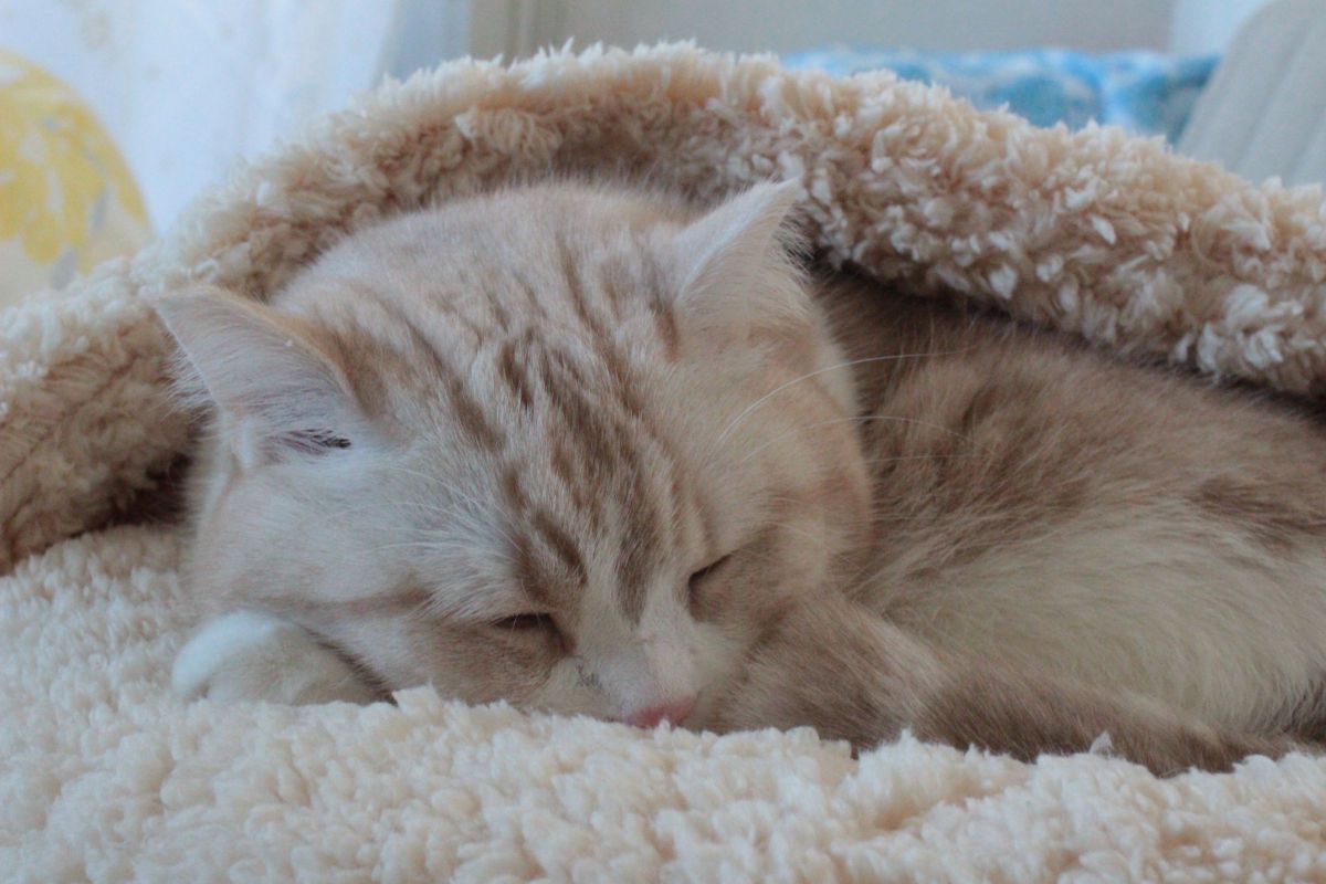 ryoさん 0506 RyOさんのプロフィール | Audiostock(オーディオストック)