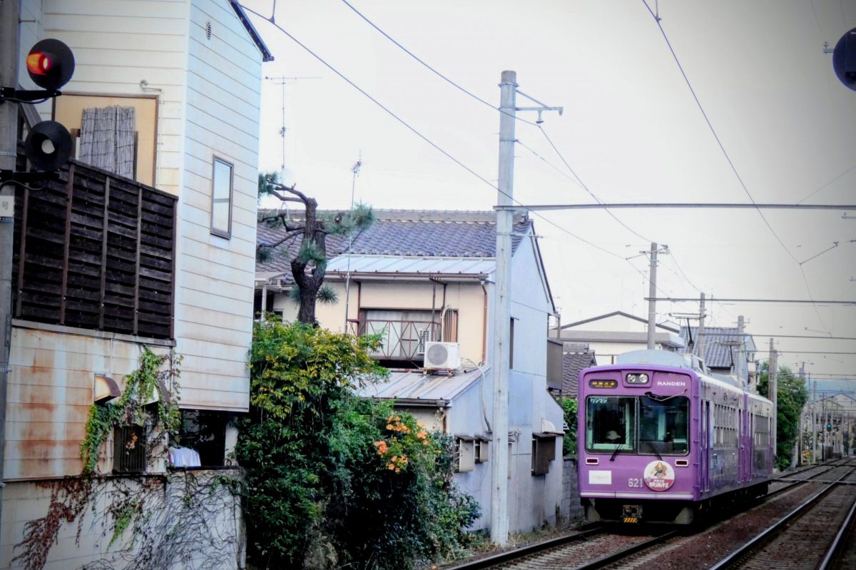 LUMIX FZ85で撮影された写真 | 写真検索 | GANREF