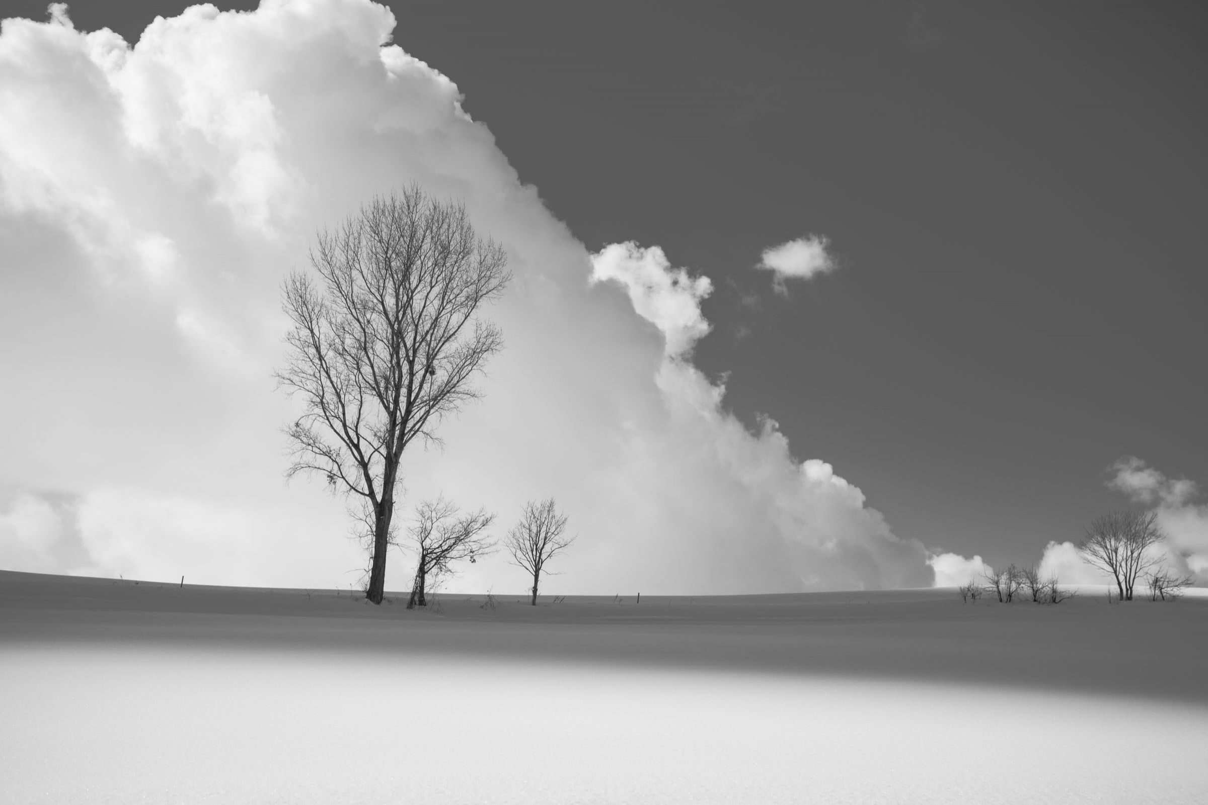 空と雲と影と雪 | GANREF