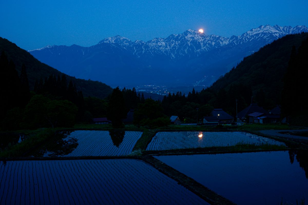 Vario-Sonnar T＊ 24-70mm F2.8 ZA SSMで撮影された写真 | 写真検索